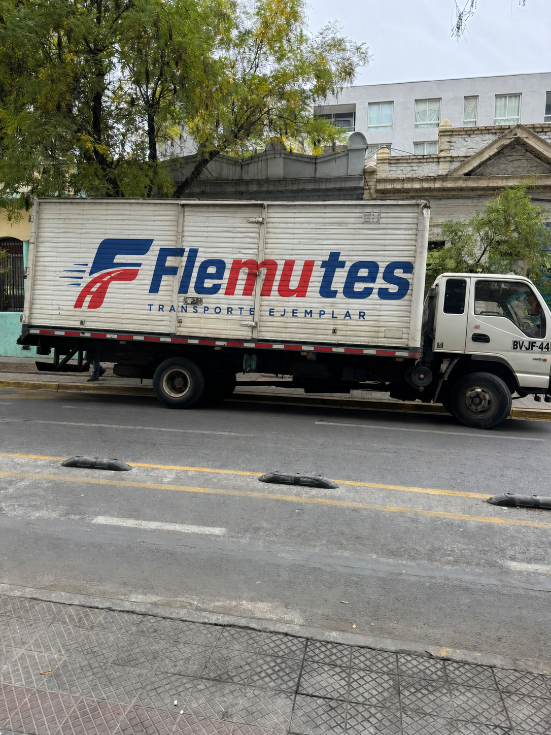 Camión grande Flemutes